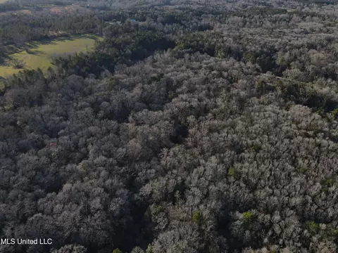 63 Clem Rd, Mount Olive, MS 39119 photo 31