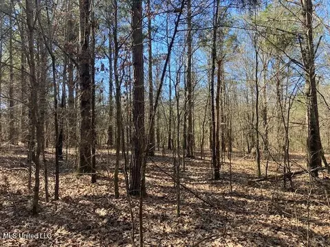 Pigeon Roost, Coldwater, MS 38618 photo 12