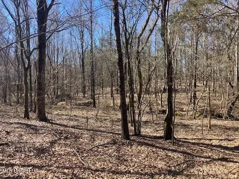 Pigeon Roost, Coldwater, MS 38618 photo 7