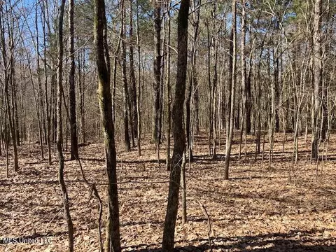 Pigeon Roost, Coldwater, MS 38618 photo 8