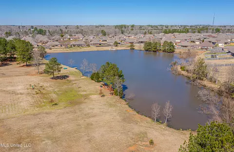 View/Area - 277 Williams Rd, Florence, MS 39073 photo 3 of 8
