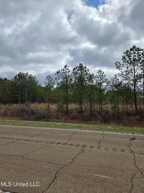 Pine Meadows Drive, Crystal Springs, MS 39059