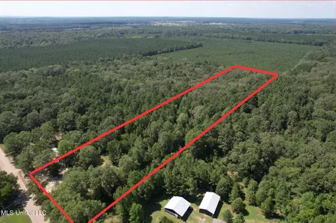 1603 Holly Bush Rd, Pelahatchie, MS 39145
