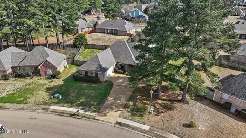 115 Devlin Springs Dr, Madison, MS 39110 photo 41