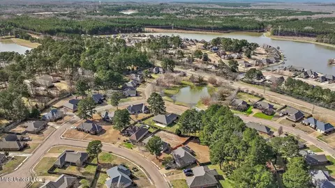 115 Devlin Springs Dr, Madison, MS 39110 photo 52