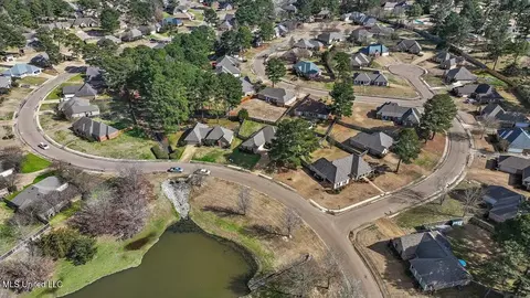 115 Devlin Springs Dr, Madison, MS 39110 photo 47