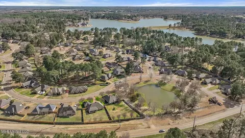 115 Devlin Springs Dr, Madison, MS 39110 photo 49