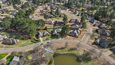 115 Devlin Springs Dr, Madison, MS 39110 photo 46