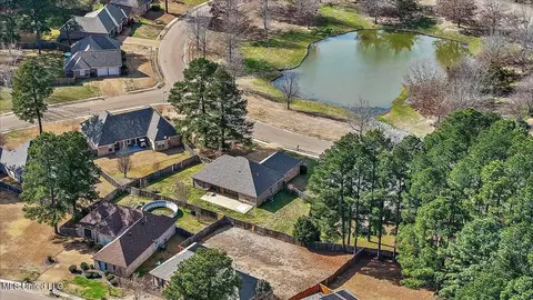 115 Devlin Springs Dr, Madison, MS 39110 photo 53