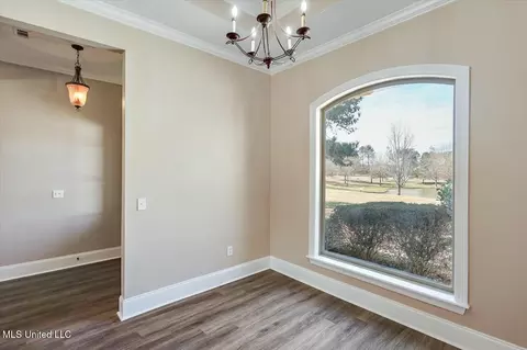 115 Devlin Springs Dr, Madison, MS 39110 photo 17
