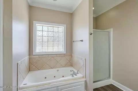 115 Devlin Springs Dr, Madison, MS 39110 photo 27
