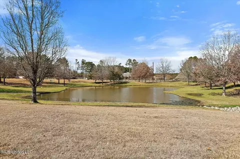 115 Devlin Springs Dr, Madison, MS 39110 photo 2
