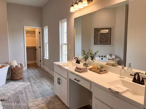 Bath - 939 Buttermilk Dr, Nesbit, MS 38651 photo 1 of 4