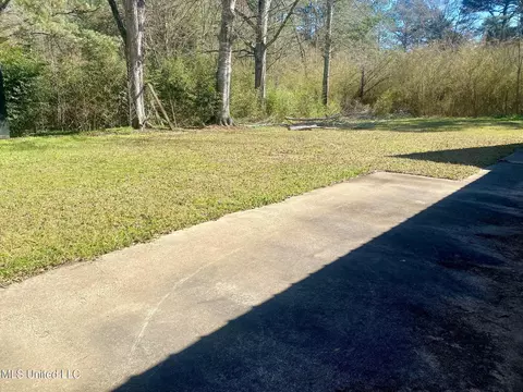 258 Mars Hill Rd, Carthage, MS 39051 photo 10