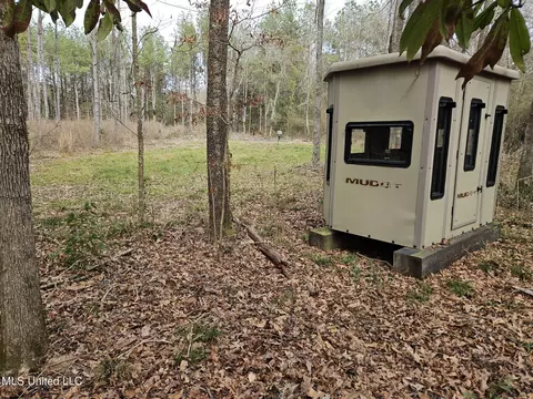 65 Henry Smith Rd, Brookhaven, MS 39601 photo 39