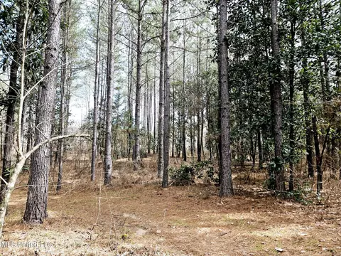 65 Henry Smith Rd, Brookhaven, MS 39601 photo 18
