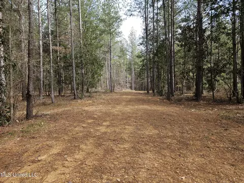 65 Henry Smith Rd, Brookhaven, MS 39601 photo 32