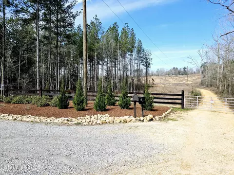 65 Henry Smith Rd, Brookhaven, MS 39601 photo 6