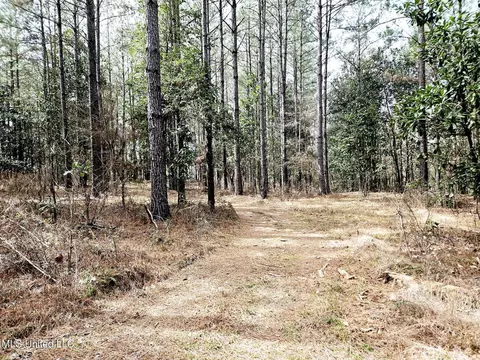 65 Henry Smith Rd, Brookhaven, MS 39601 photo 17