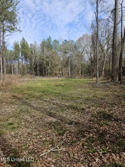 65 Henry Smith Rd, Brookhaven, MS 39601 photo 44