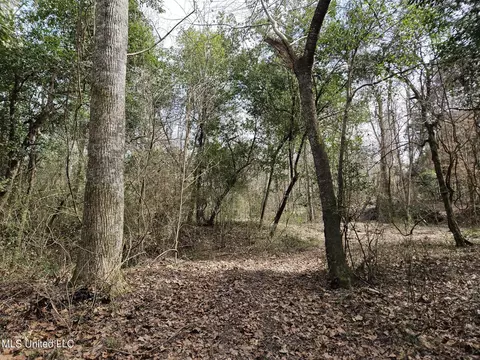 65 Henry Smith Rd, Brookhaven, MS 39601 photo 31