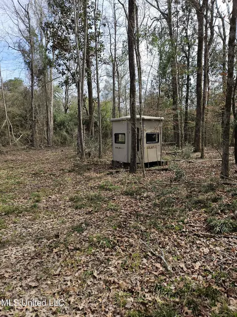 65 Henry Smith Rd, Brookhaven, MS 39601 photo 42