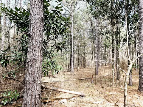 65 Henry Smith Rd, Brookhaven, MS 39601 photo 19