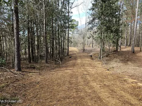 65 Henry Smith Rd, Brookhaven, MS 39601 photo 33