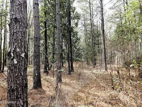 65 Henry Smith Rd, Brookhaven, MS 39601 photo 20