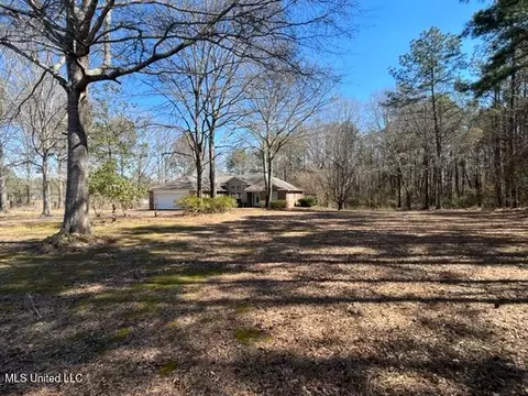 125 Jamison Ct, Brandon, MS 39042 photo 2