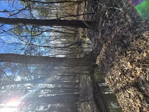 Cooper Road, Byhalia, MS 38611