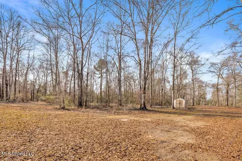 19612 Wilson Dr, Saucier, MS 39574 photo 31