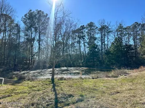 6258 Salem Rd, Mclain, MS 39456 photo 16