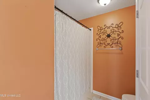 Bath - 85 Desoto Ave, Hernando, MS 38632 photo 2 of 3