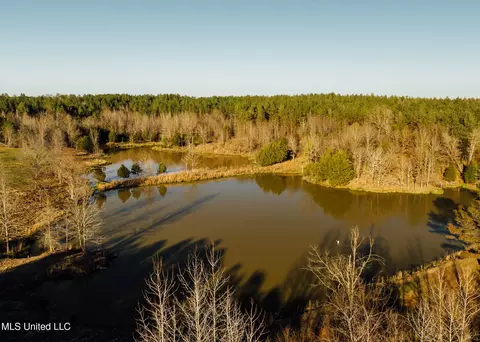 Alfred Phelps Lane, Lexington, MS 39095