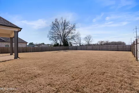 Exterior - 2923 Liam Ln, Nesbit, MS 38651 photo 4 of 6
