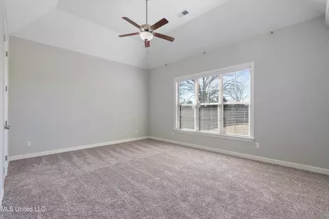Other - 2923 Liam Ln, Nesbit, MS 38651 photo 4 of 8
