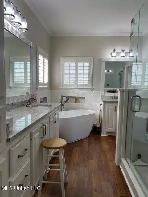 Bath - 303 Windy Ridge Dr, Brandon, MS 39042 photo 3 of 6