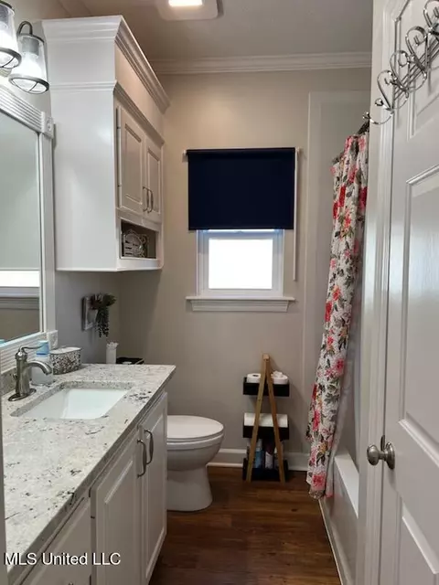 Bath - 303 Windy Ridge Dr, Brandon, MS 39042 photo 6 of 6