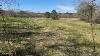 4384 Old Hillsboro Rd, Forest, MS 39074 photo 9