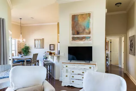 Living - 100 Cannon Run, Canton, MS 39046 photo 1 of 1