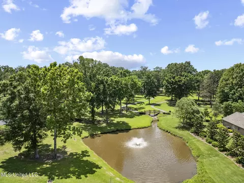 102 Lake Cv, Madison, MS 39110 photo 52