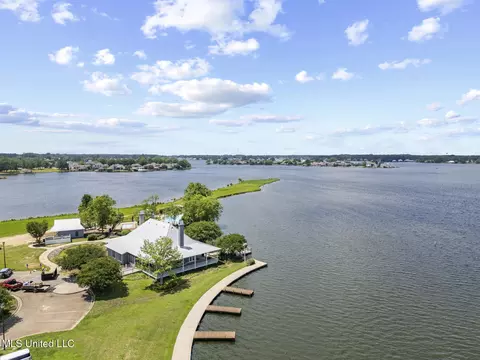 102 Lake Cv, Madison, MS 39110 photo 50