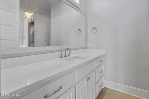 102 Lake Cv, Madison, MS 39110 photo 26