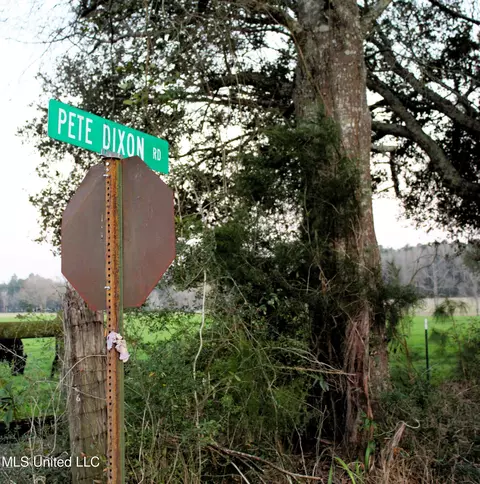 20 Acres Basin Refuge Rd, Lucedale, MS 39452 photo 7