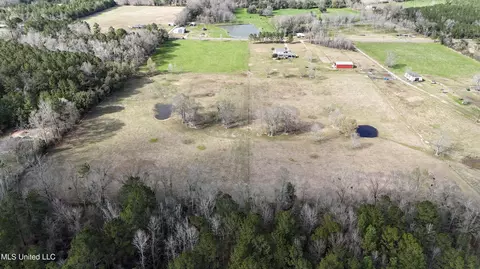 20 Acres Basin Refuge Rd, Lucedale, MS 39452 photo 17