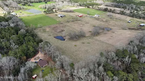 20 Acres Basin Refuge Rd, Lucedale, MS 39452 photo 19