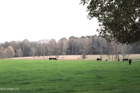 20 Acres Basin Refuge Rd, Lucedale, MS 39452 photo 4