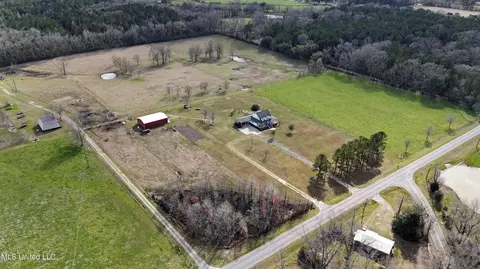 20 Acres Basin Refuge Rd, Lucedale, MS 39452 photo 11