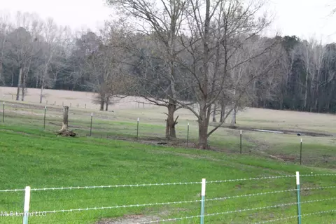 20 Acres Basin Refuge Rd, Lucedale, MS 39452 photo 5